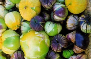Tomatillo Purple de Milpa.
